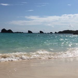 Meet your Posher, Alison